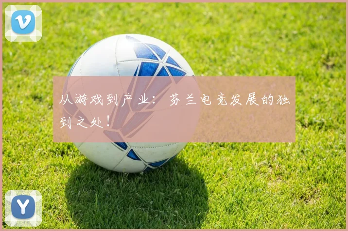 从游戏到产业：芬兰电竞发展的独到之处！