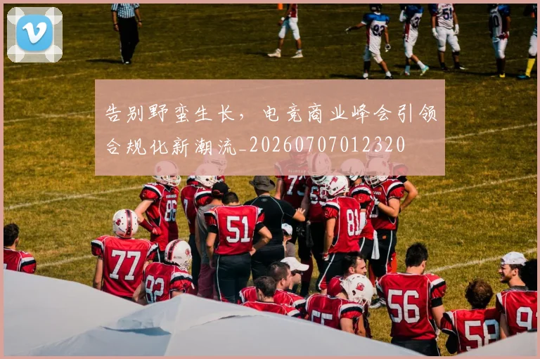 告别野蛮生长，电竞商业峰会引领合规化新潮流_20260707012320